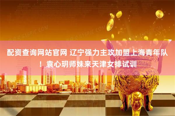 配资查询网站官网 辽宁强力主攻加盟上海青年队！袁心玥师妹来天津女排试训