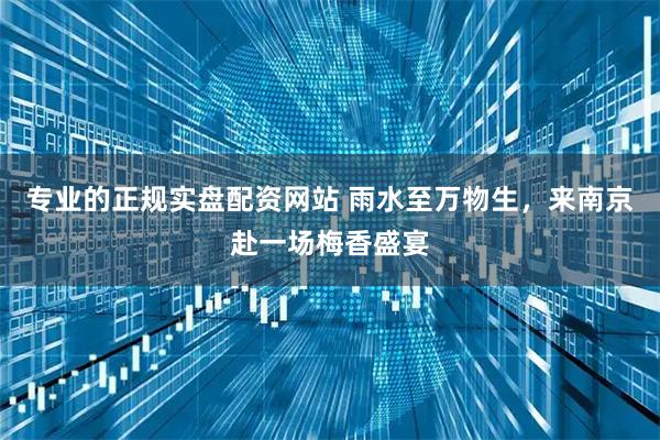 专业的正规实盘配资网站 雨水至万物生，来南京赴一场梅香盛宴