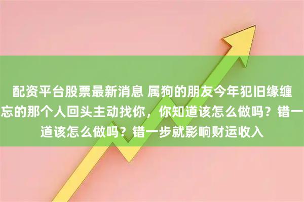 配资平台股票最新消息 属狗的朋友今年犯旧缘缠身！如果你念念不忘的那个人回头主动找你，你知道该怎么做吗？错一步就影响财运收入